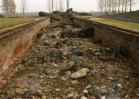 Auschwitz-Birkenau WMZ