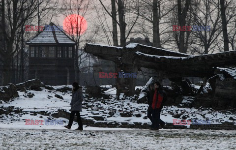 Obchody 66. rocznicy wyzwolenia niemieckiego obozu Auschwitz