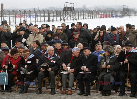 Obchody 66. rocznicy wyzwolenia niemieckiego obozu Auschwitz