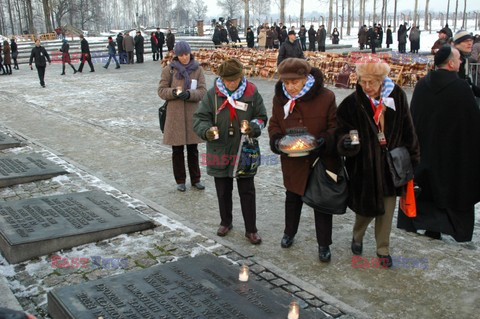 Obchody 66. rocznicy wyzwolenia niemieckiego obozu Auschwitz