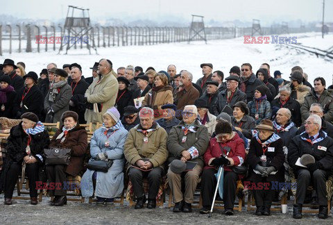 Obchody 66. rocznicy wyzwolenia niemieckiego obozu Auschwitz