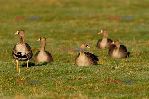 Bios Photo March 2011