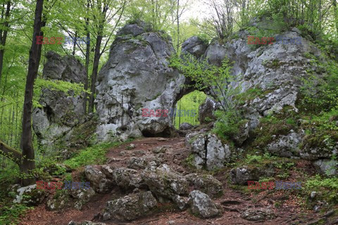 WYZYNA KRAKOWSKO-CZESTOCHOWSKA AdLa