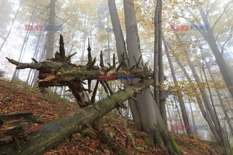 PIENINSKI PARK NARODOWY AdLa