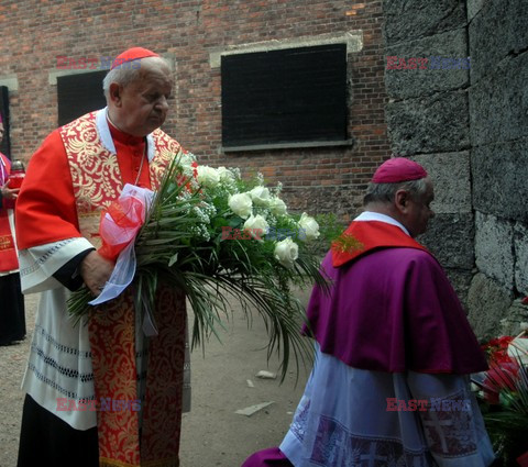 70 rocznica smierci św. Ojca Maksymiliana Kolbe