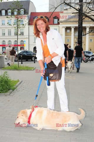 Parada Labradorów w Warszawie