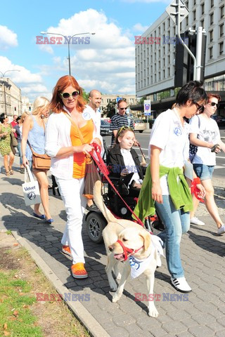 Parada Labradorów w Warszawie