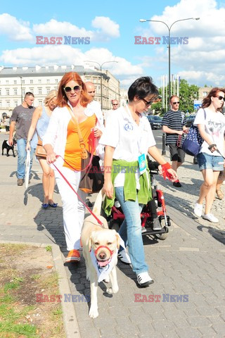 Parada Labradorów w Warszawie