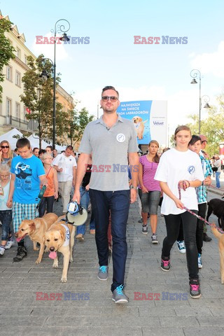 Parada Labradorów w Warszawie