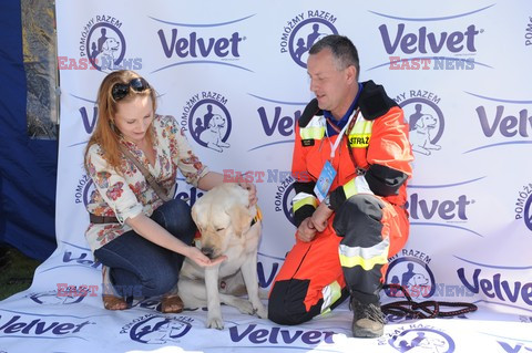 Parada Labradorów w Warszawie