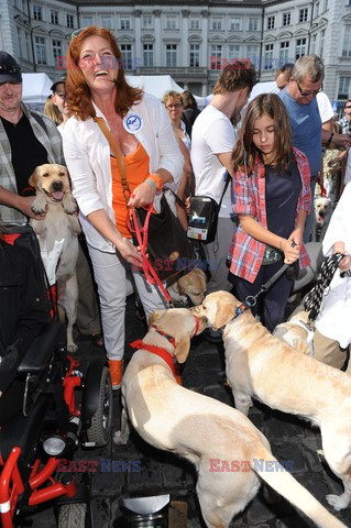 Parada Labradorów w Warszawie