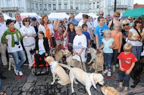 Parada Labradorów w Warszawie