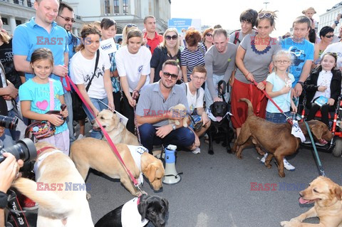 Parada Labradorów w Warszawie