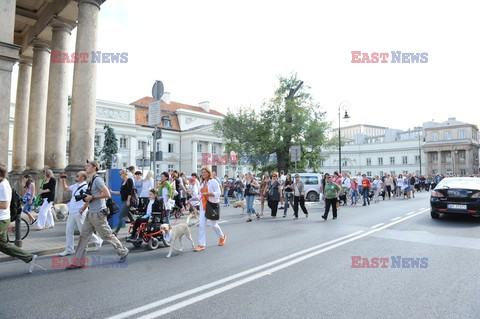 Parada Labradorów w Warszawie