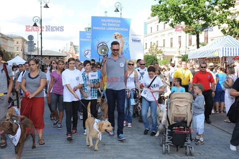 Parada Labradorów w Warszawie