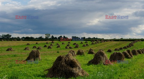 Mazowsze Marek Bazak