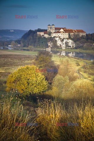 Polska DaZa