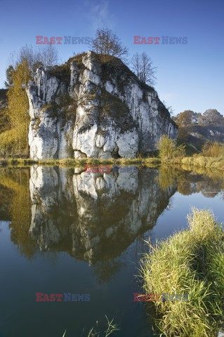 Polska DaZa