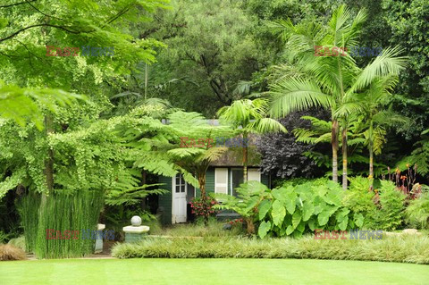 Jungle nook - House and Leisure