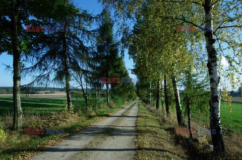 Podlasie Marek Bazak