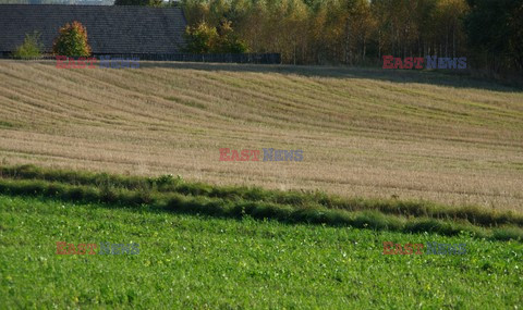 Podlasie Marek Bazak