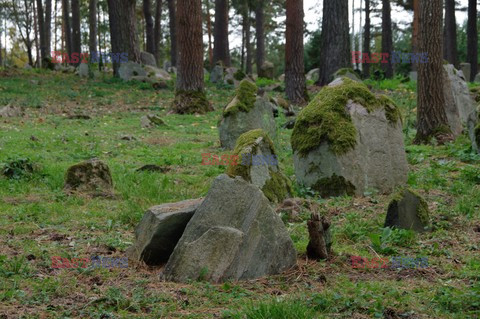 Podlasie Marek Bazak