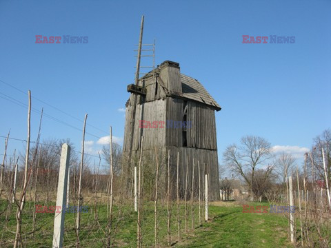 Sławomir Kordaczuk stock photos