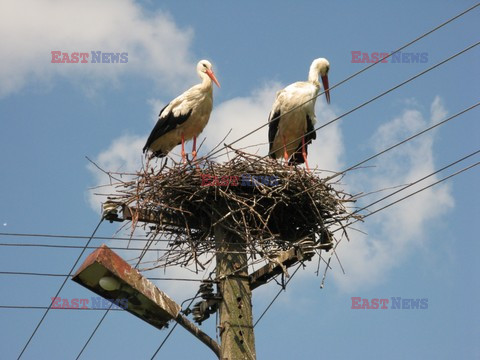 Sławomir Kordaczuk stock photos