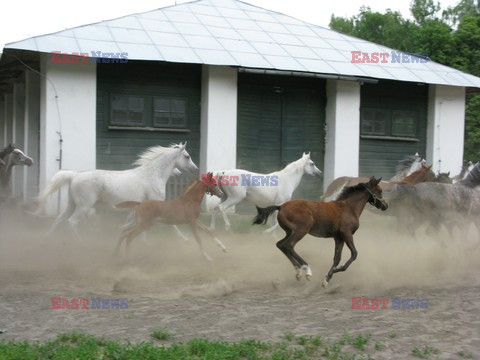 Sławomir Kordaczuk stock photos