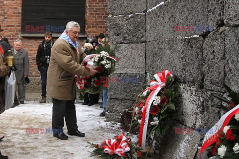 67. rocznica wyzwolenia obozu w Oświęcimiu