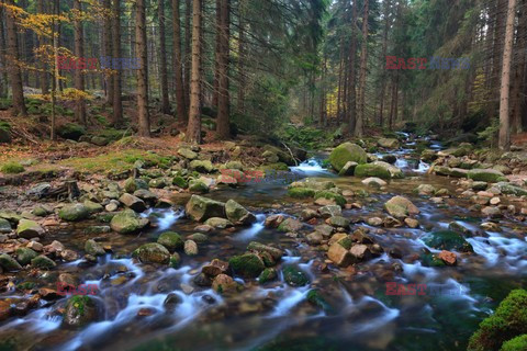 KARKONOSKI PARK NARODOWY AdLa