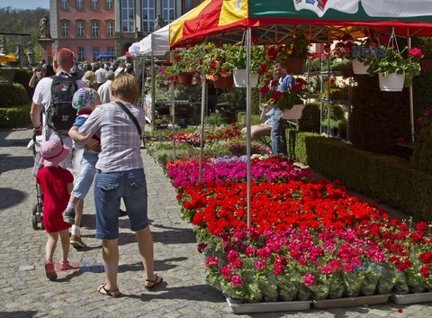 XXIV Festiwal Kwiatów i Sztuki na Zamku Książ