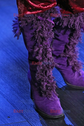 Anna Sui details