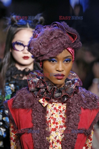 Anna Sui details