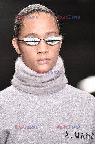 Alexander Wang details