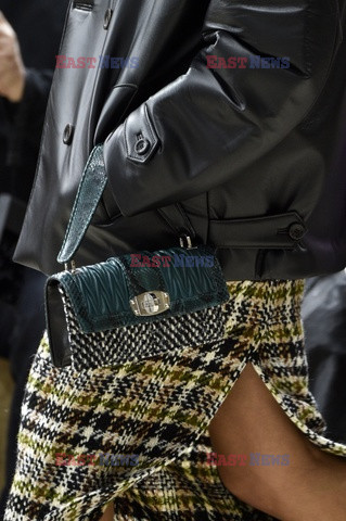 Miu Miu details