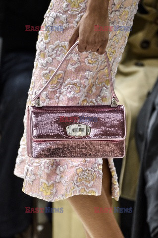 Miu Miu details