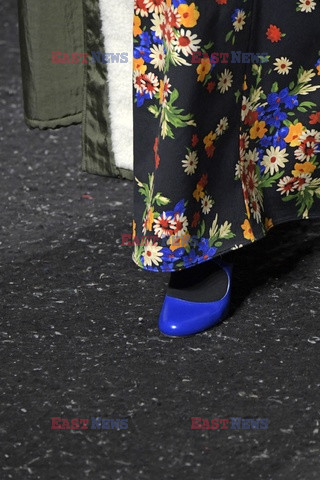 Miu Miu details details