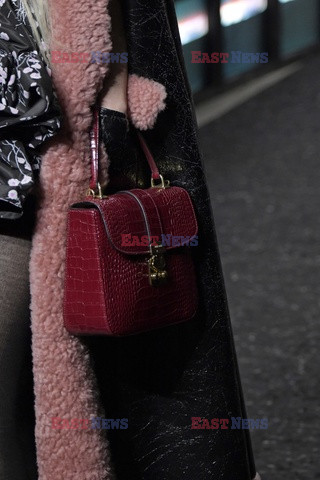 Miu Miu details details