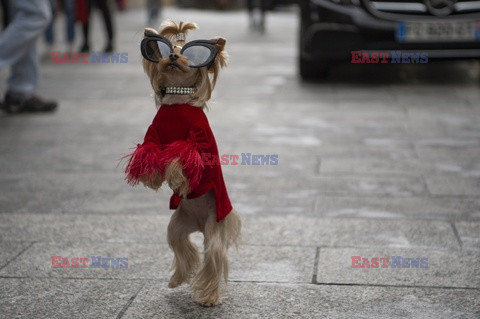 Andrew Gn Street Style