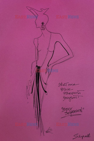 Schiaparelli