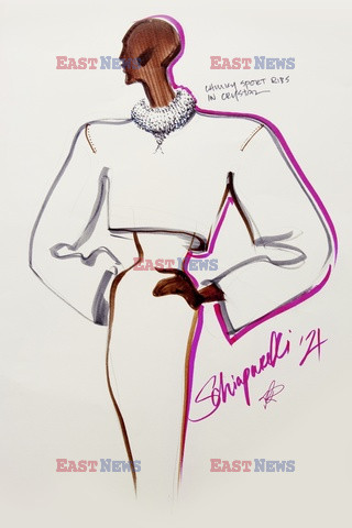 Schiaparelli