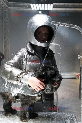 Moncler 9 dogs