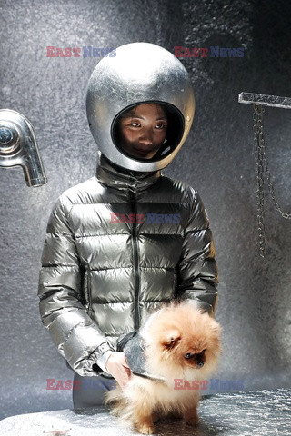 Moncler 9 dogs