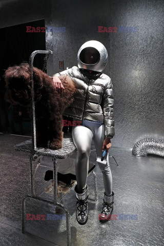 Moncler 9 dogs