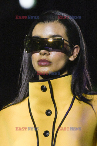 Pierre Cardin details