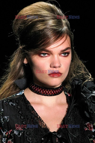 Anna Sui details