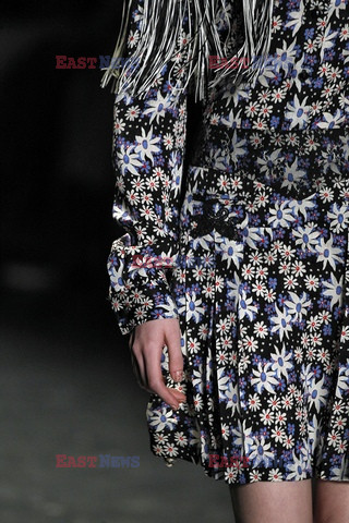 Anna Sui details