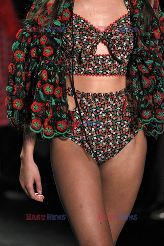 Anna Sui details