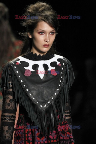 Anna Sui details